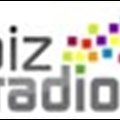 New free app access to BizRadio