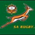 Mbalula: 'counting black Springbok players' trivialises transformation