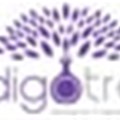 Indigo Tree launch sees jacaranda trees swathed in scented ribbons