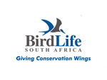 'Vulture restaurant' to fluff out rare feathers