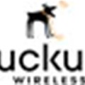 Public can buy Ruckus Wireless shares
