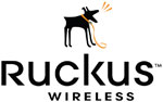 Public can buy Ruckus Wireless shares