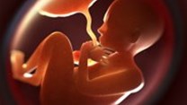 Genes link growth in the womb with adult metabolism and disease
