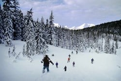 Beat the heat... Take a group vacation to Idaho to enjoy the snow