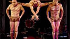 Farewell Cape Town Miracle Tour for Madame Zingara