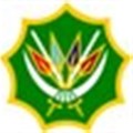 SANDF recruits allegedly abused
