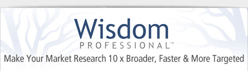MicroStrategy Wisdom Professional - Make your market research 10x broader, faster and more targeted