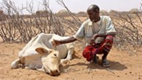 A Kenyan pastoralist with his dead cow during the 2011 drought. (Photo: )