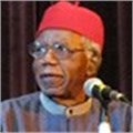 Nobel laureate Nadine Gordimer hails Chinua Achebe