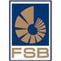 FSB delays solvency rules for insurers