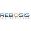 Rebosis looks cheap at the price