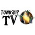 Lack of sponsorship will kill Township TV