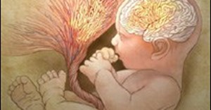 Abnormal placental folds signal autism risk at birth. (Original illustration by Patrick Lynch, Yale University)