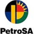 PetroSA to review spending audits