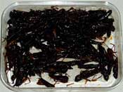 Cooked locusts (Image: Wiki Images)