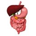 Crohn's Disease forms part of IBD month