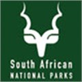 Kruger Park ranger shot, wounded by suspected poachers