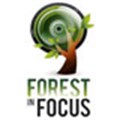 Film festival to focus on forests