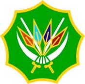 DRC gets 1,300 SA troops