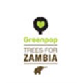 Greenpop to encourage sustainable change through Earth Fest 2013