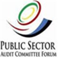 Guidance papers issued by Public Sector Audit Committee Forum