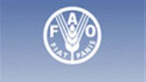 AU, FAO and Lula Institute join forces