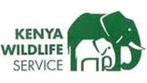 Ivory seized in Kenya