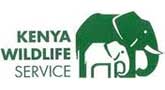 Ivory seized in Kenya