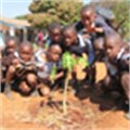 Greenpop's Trees for Zambia underway, with Earth Fest coming this weekend