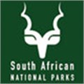 Four poachers arrested in Kruger