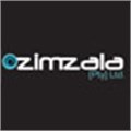 Zimzala Media Video LCD Brochure