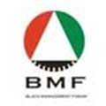 BMF loses yet another managing director
