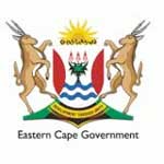 Eastern Cape MEC to tackle audits