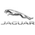 Jaguar catches outdoor landscape
