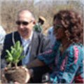 200 indigenous trees planted at Victoria Falls