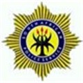 Gauteng gets stop-gap police boss