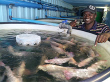 SA fish farm shortlisted for international award