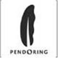 Pendoring 2013: All the winners