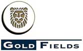 Gold Fields' shares drop amid various allegations