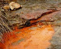 Prof Jannie Maree has successfully received a patent to treat acid mine drainage. (Images: )