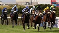 Glorious Goodwood comes to Cape Town