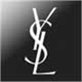 YSL muse auctions off huge fashion collection