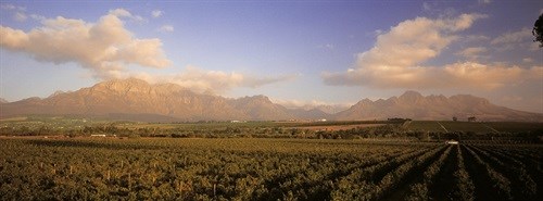 Stellenbosch Wines go on tour to France