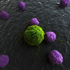 Redirecting our immune cells to help fight children's cancer