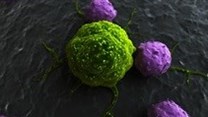 Redirecting our immune cells to help fight children's cancer