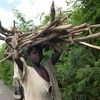 Land disputes gnaw at Côte d'Ivoire's forests