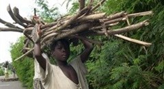 Many people in Cote d'Ivoire have been forced to switch to firewood from more expensive gas in order to cook their food. But this is adding to the deforestation problem. Image source:
