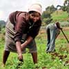 Fast-track fund for food security