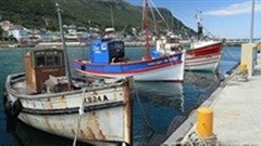 Cape Times editor fired