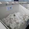 Wool market reaches new high in final sale before Christmas